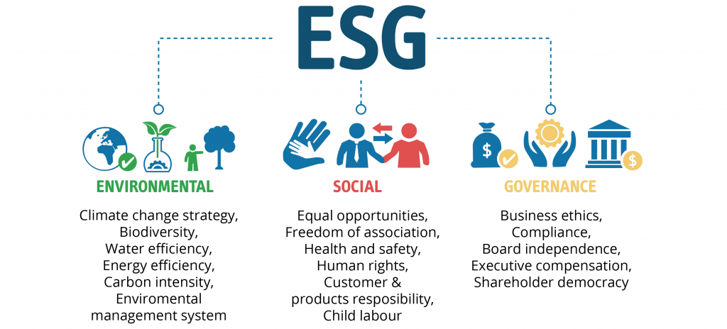 Opinion on Integrating ESG Thinking Across the Business Strategy: A Necessary Step for a Sustainable Future